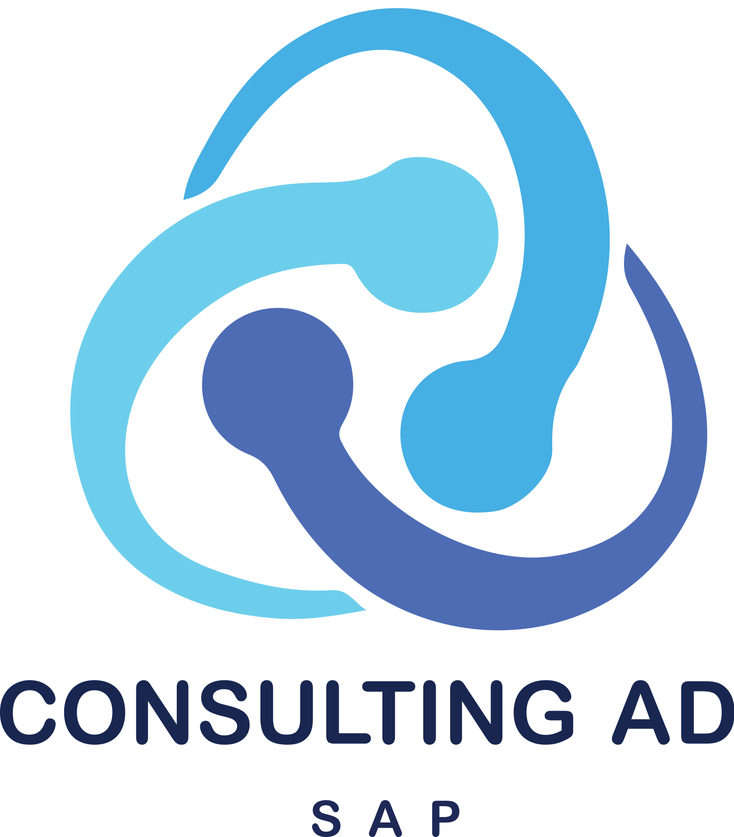 Consulting AD
